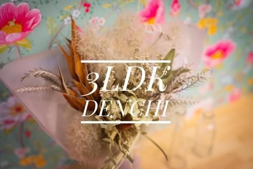 3LDK Denchi2