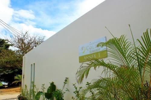 Deluxe Two-Bedroom Villa with Tatami Area and Private Pool