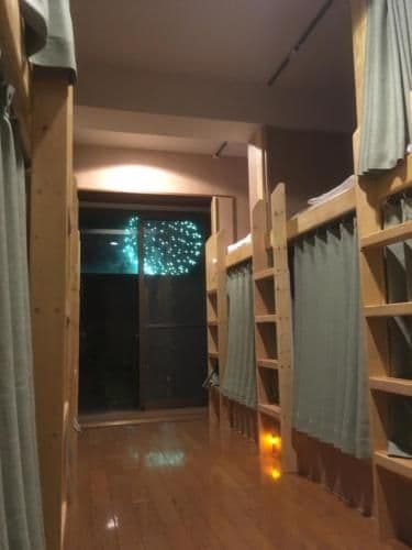 Bunk Bed in Mixed Dormitory Room