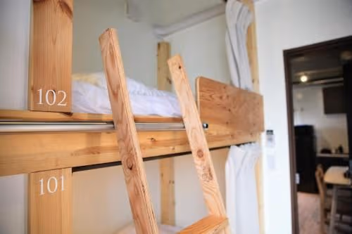 Bunk Bed in Mixed Dormitory Room