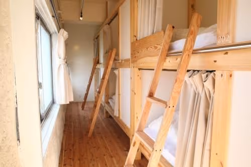 Bunk Bed in Mixed Dormitory Room