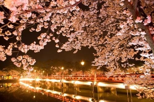 Naturing Hotel Komehonjin3