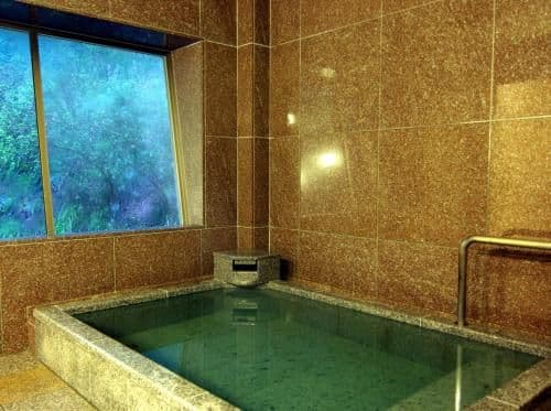 Japanese-Style Room with Shared Bathroom