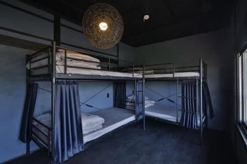 Bunk Bed in Mixed Dormitory Room