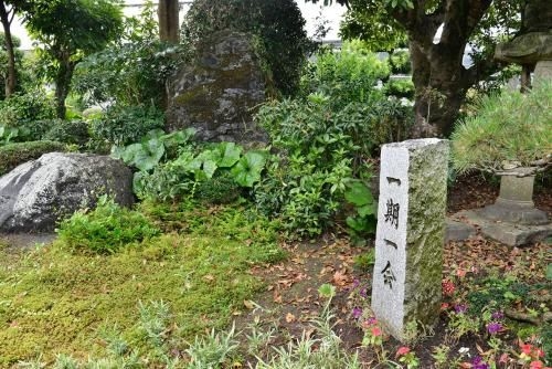 Farm Stay Tomoko's Flower2