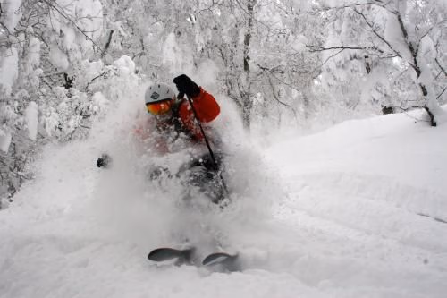 Kamoshika Ski Lodge0