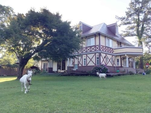 Aso guesthouse CottonClubCottage1