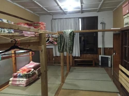 Bed in Mixed Dormitory Room