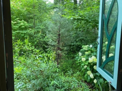 Deluxe Single Room with Balcony