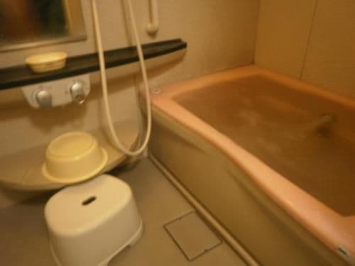 Japanese-Style Single Room with Shared Bathroom - Annex