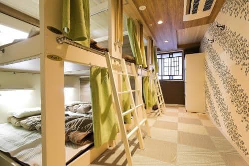 Bunk Bed in Mixed Dormitory Room