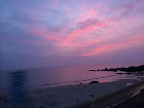 Greenroom Tanegashima4
