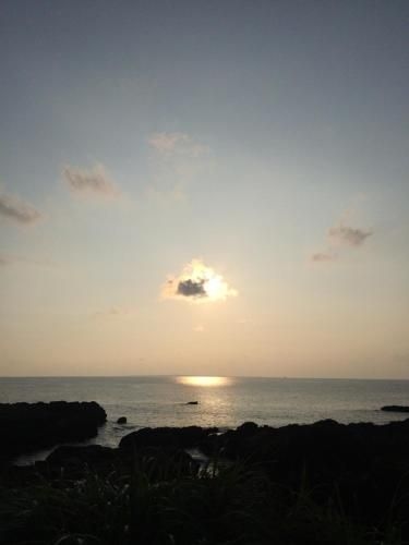 Greenroom Tanegashima2