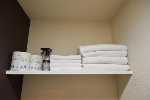 Duplex Apartment