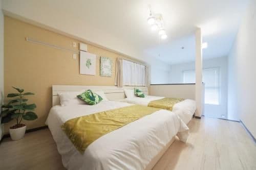 Duplex Apartment