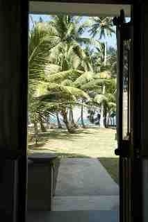 Coco Villa Resorts4
