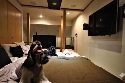Sapporo Hiraoka Dog Hotel0