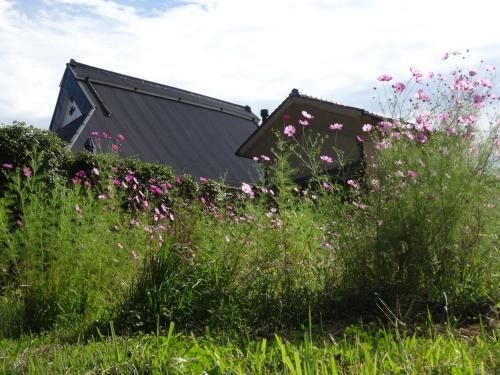 ฟุรุมายะ เฮาส์ (Furumaya House)2