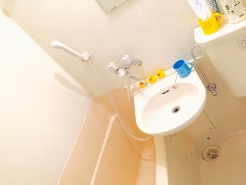 Apartment with Shower