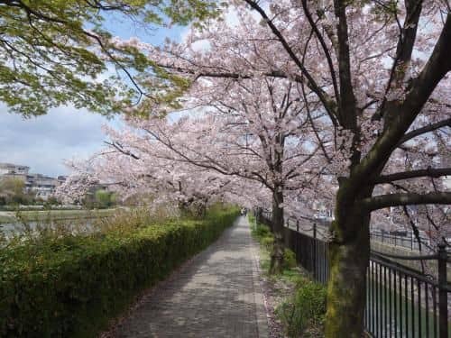 君の家 伏見 君の家 伏見