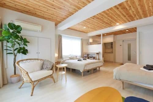 Apartment with Terrace