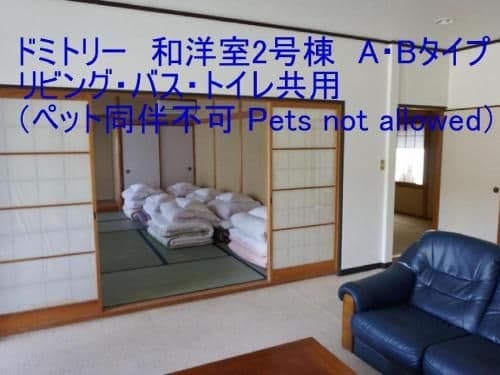 4-Bed Mixed Dormitory Room