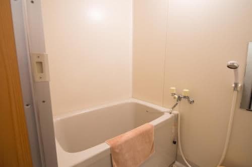 Japanese-Style Standard Room
