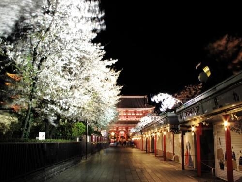COTO Tokyo Asakusa 41