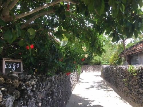 Guest house cago Guest house cago