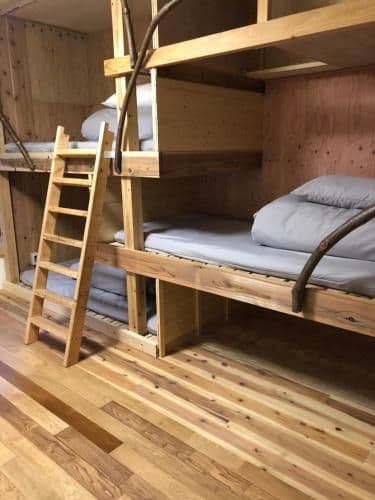 Bunk Bed in Mixed Dormitory Room