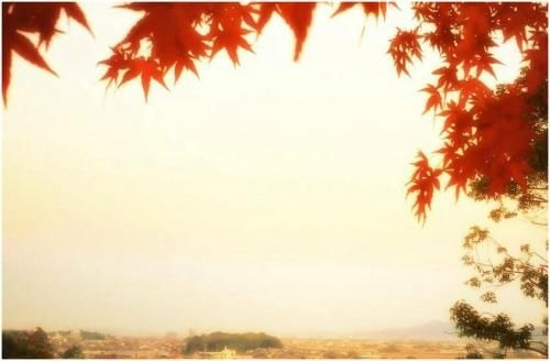一棟貸し宿いぐさ Whole House Rental Igusa (Whole House Rental Igusa)2