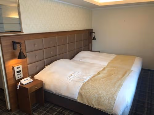 Deluxe Twin Room - Non-Smoking