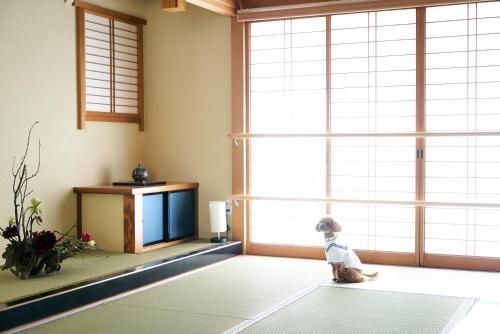 Tengu TABI-NE (Tengu Tabi-Ne)3