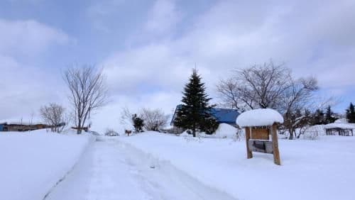 Holiday Home