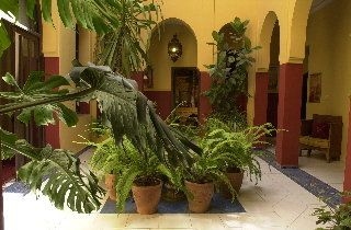 Dar Naima3