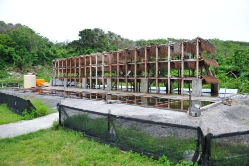 ISLAND RESORT 76 (Island Resort 76)2