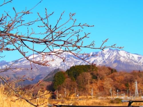 Sanga Nikko4
