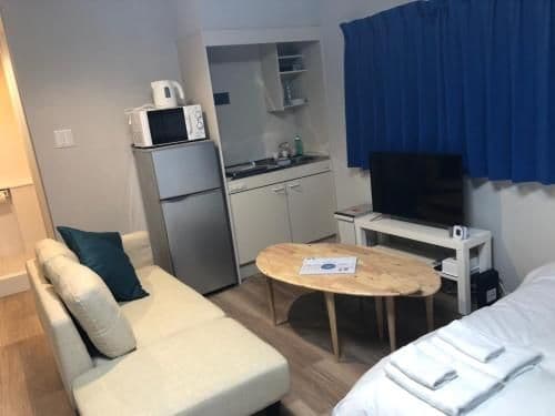 Apartment - Family Room