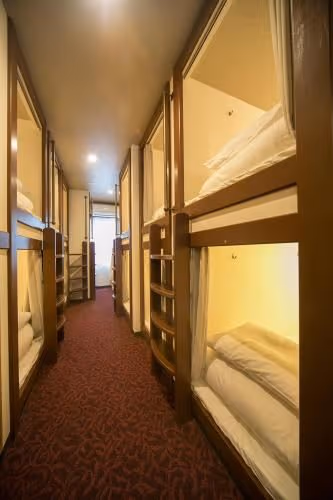 Bunk Bed in Mixed Dormitory Room