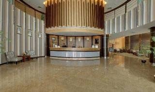 Aryana Aryana