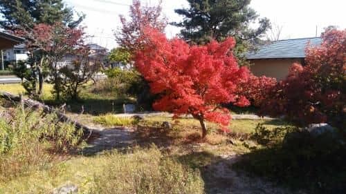 Wakihonjin Wakihonjin