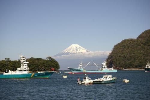 Tagore Harbor Hostel3