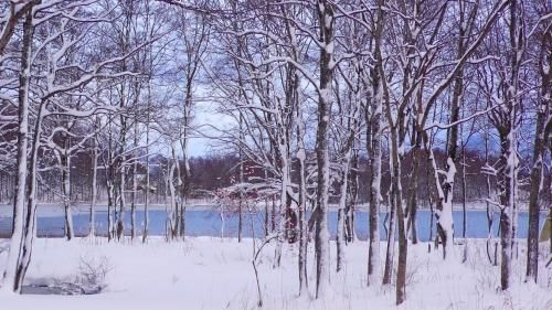 Bandai Lakeside Guesthouse4