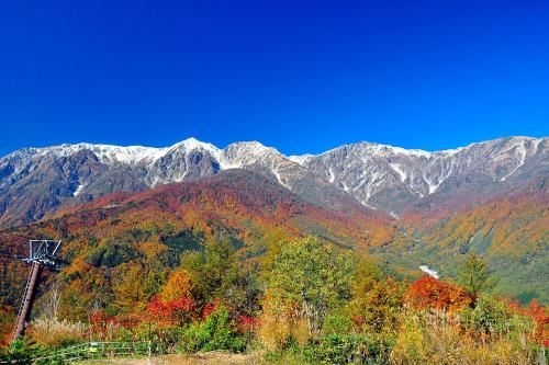 Hakuba Youluri1