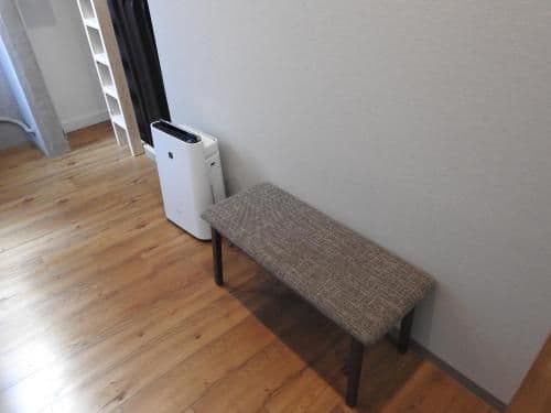 Bunk Bed in Mixed Dormitory Room