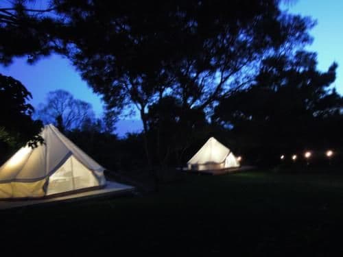 One-Bedroom Glamping Tent