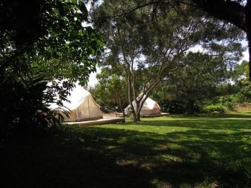 One-Bedroom Glamping Tent