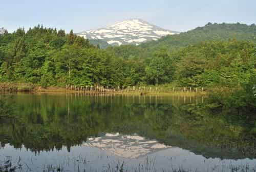 Chokai Sarukuraonsen Hotel Foresta Chokai Chokai Sarukuraonsen Hotel Foresta Chokai