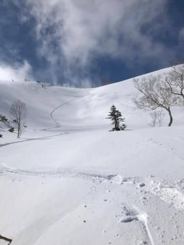 Nori's Sharehouse Hakuba Entire charter Nori's Sharehouse Hakuba Entire charter