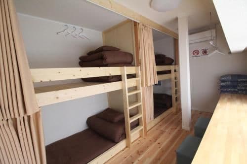 Bunk Bed in Female Dormitory Room with Shared Bathroom